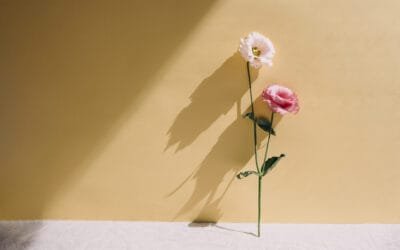 Manifestation & Christianity